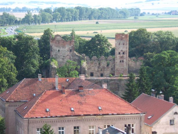 Widok na ruiny zamku z Krzywej Wieży