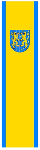 Baner jest pochodną flagi Gminy. Stanowi on prostokątny płat tkaniny o proporcjach 1/4
