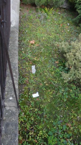 Śmieci i paragony na prywatnym trawniku przy przystanku