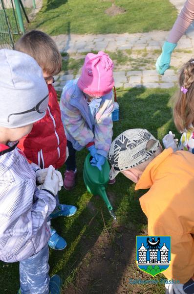 Mieszkańcy kilku miejscowości, a także przedszkolaki wzięły udział w akcji  „Zielona Gmina”