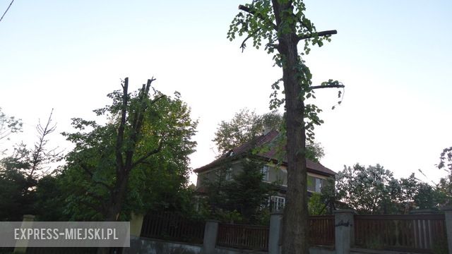 Drzewa przycięte przy ul. Mickiewicza