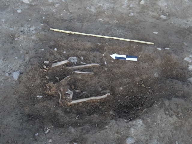 Szczątki znalezione przy szubienicy