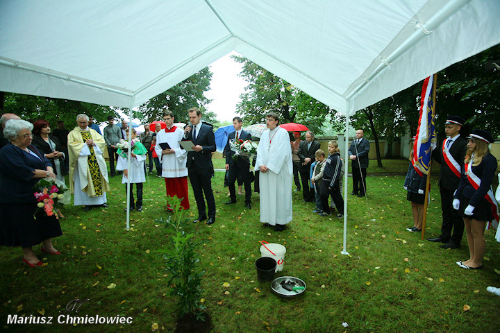 Zasadzili dąb ku pamięci Franciszka Wiatera w ramach akcji „Katyń... ocalić od zapomnienia”