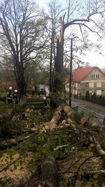 Wichura nie ominęła też gminy Stoszowice. W pobliżu kościoła runęło drzewo