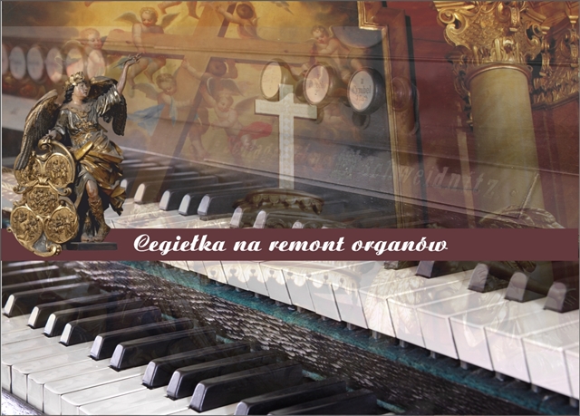 Organy pochodzą z 1894 roku. Zostały zbudowane przez świdnicką firmę „Schlag und Sohne” i przez wielu są uznawane za najlepsze znajdujące się w Ząbkowicach Śląskich