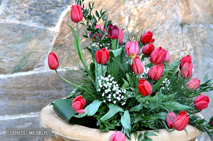 4. Wiosna Tulipanów w Kamieńcu Ząbkowickim - drugi dzień