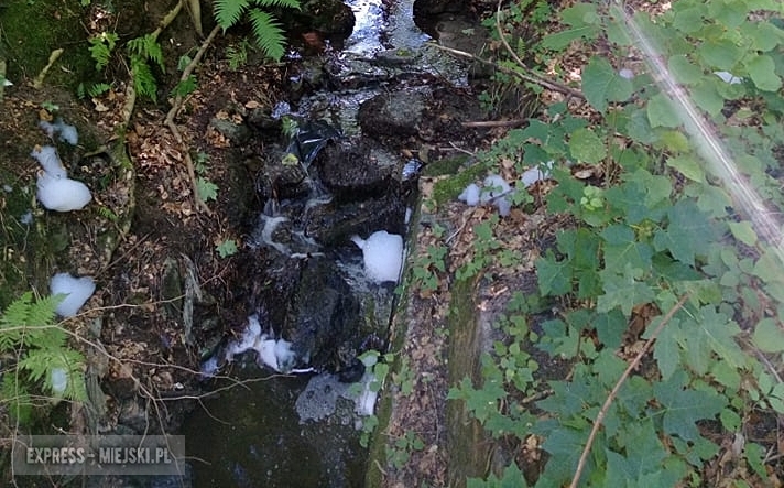 Pieniący proszek zanieczyszcza potok w pobliżu Ostroszowic