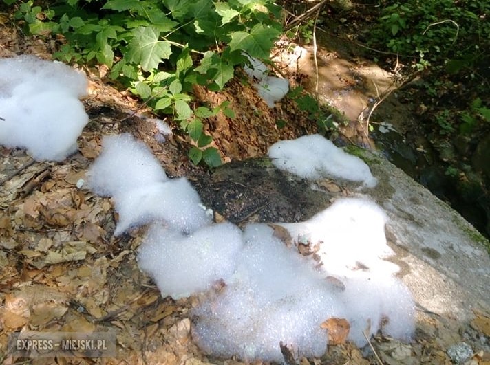 Pieniący proszek zanieczyszcza potok w pobliżu Ostroszowic