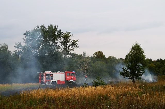 Na „wojskówce” w Ząbkowicach Śląskich paliło się 10 arów suchej trawy