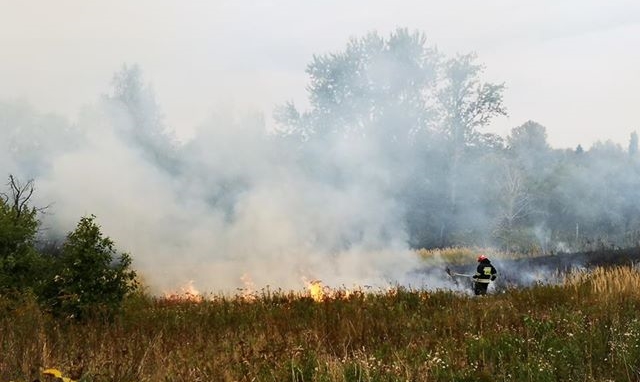 Na „wojskówce” w Ząbkowicach Śląskich paliło się 10 arów suchej trawy