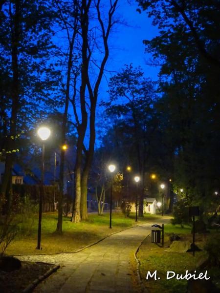 Modernizacja oświetlenia alejek w Parku Miejskim w Ziębicach 
