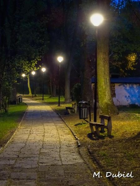 Modernizacja oświetlenia alejek w Parku Miejskim w Ziębicach 
