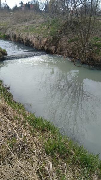 	Wyciek białej substancji do rzeki Oławy w Ziębicach