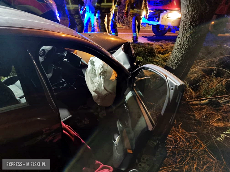 W Niedźwiedniku samochód uderzył w drzewo [foto]