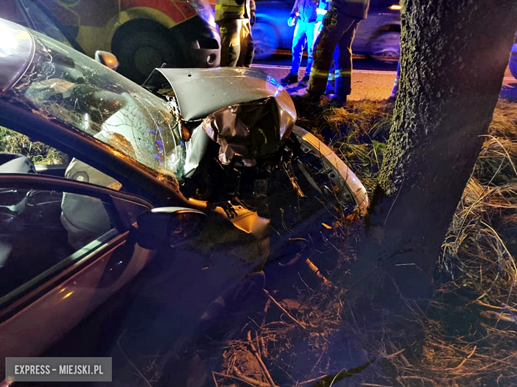 W Niedźwiedniku samochód uderzył w drzewo [foto]