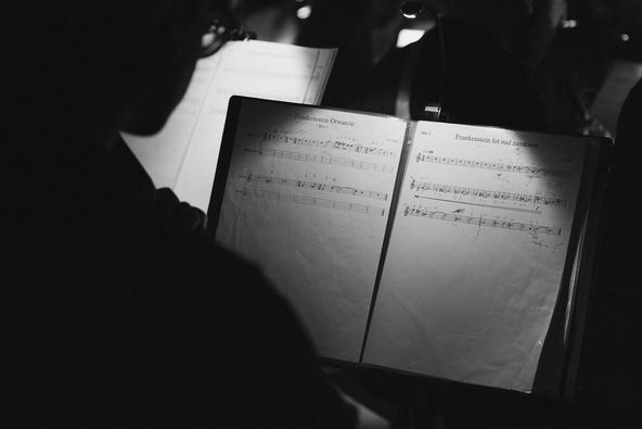 Ziębicka Orkiestra Mandolinistów i goście wystąpili „u siebie”
