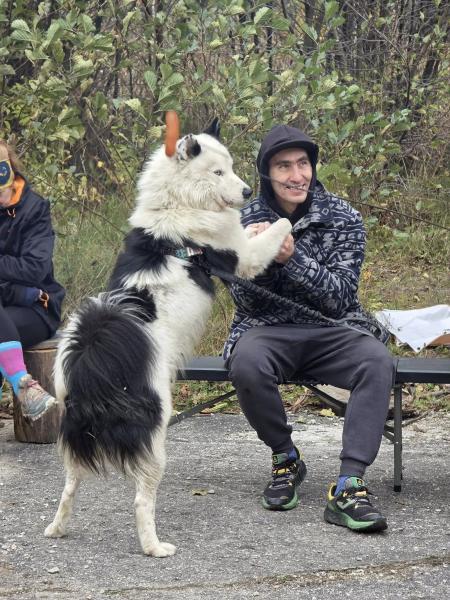 Finał Pucharu Polski w Dogtrekkingu ponownie w Złotym Stoku i Górach Złotych. Znamy wyniki