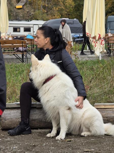 Finał Pucharu Polski w Dogtrekkingu ponownie w Złotym Stoku i Górach Złotych. Znamy wyniki
