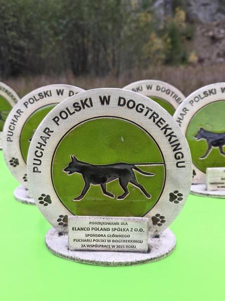 Finał Pucharu Polski w Dogtrekkingu ponownie w Złotym Stoku i Górach Złotych. Znamy wyniki