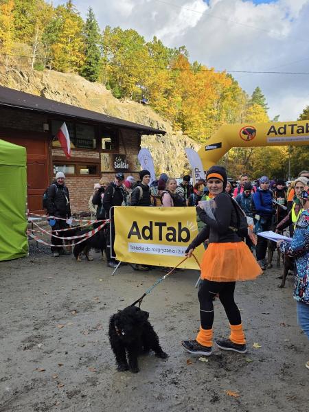 Finał Pucharu Polski w Dogtrekkingu ponownie w Złotym Stoku i Górach Złotych. Znamy wyniki
