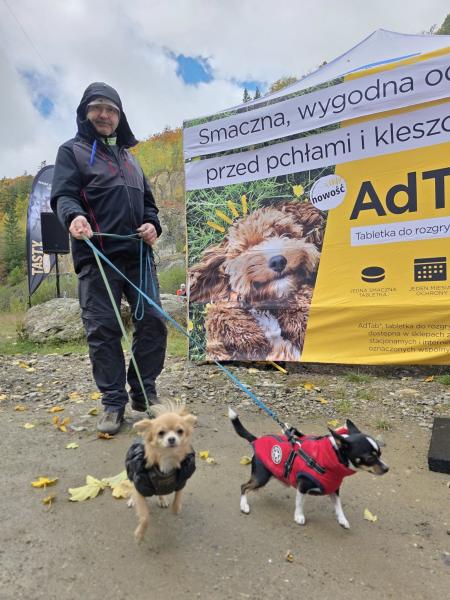 Finał Pucharu Polski w Dogtrekkingu ponownie w Złotym Stoku i Górach Złotych. Znamy wyniki