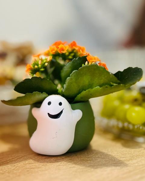 Henryków ma już swoje Centrum Aktywności Lokalnej