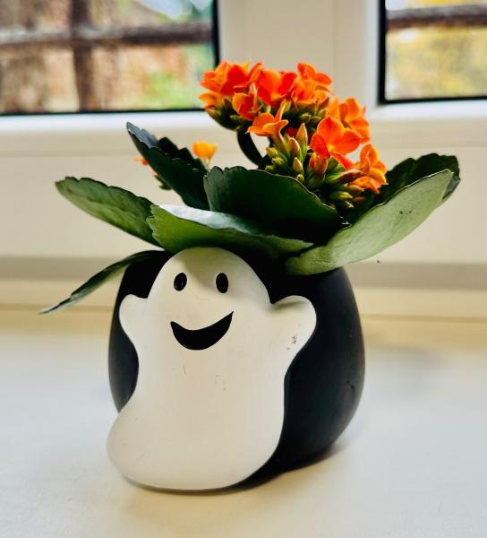 Henryków ma już swoje Centrum Aktywności Lokalnej