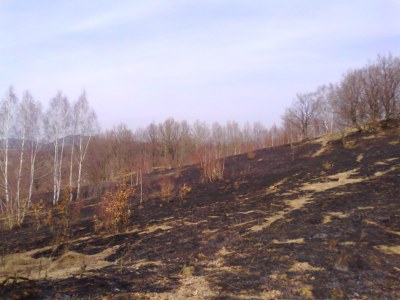 Spłonęło pięć hektarów trawy 