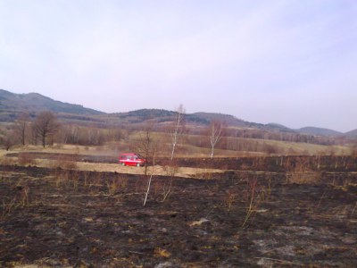 Spłonęło pięć hektarów trawy 