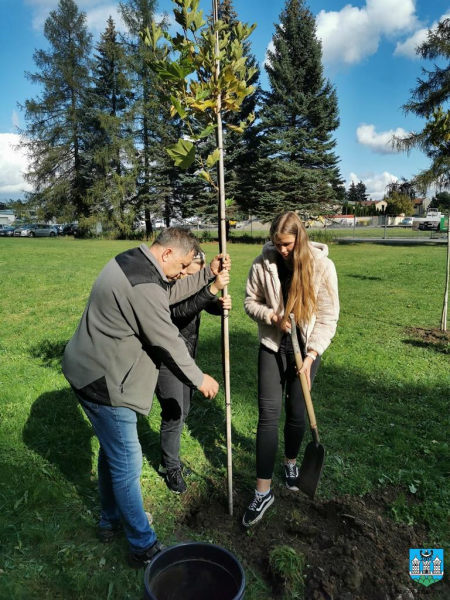 „Zielona gmina”. Przedszkolaki oraz uczniowie szkół podstawowych sadzili drzewa i krzewy