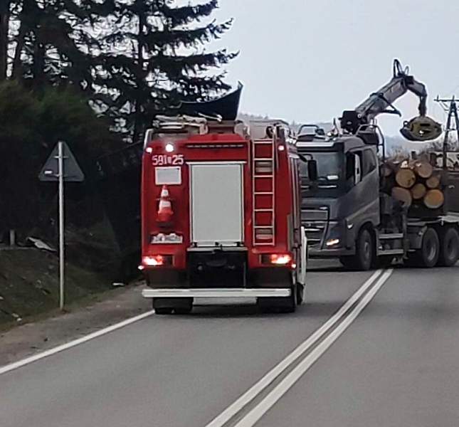 Samochód ciężarowy przewożący drewno wpadł do rowu na drodze krajowej nr 46
