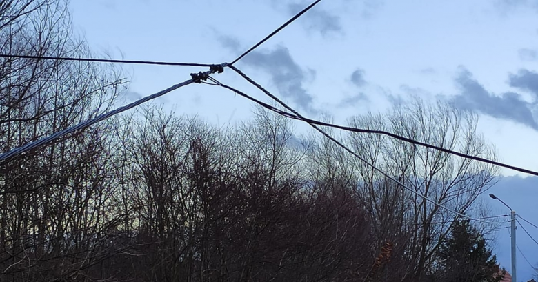 Powalone drzewo uszkodziło linię telekomunikacyjną w Stolcu