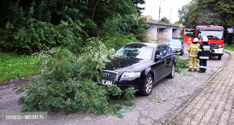 Konar drzewa spadł na przejeżdżający samochód osobowy