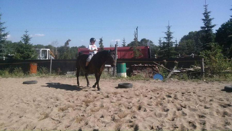 Od miesiąca w Złotym Stoku chętne dzieci i młodzież uczą się jazdy konnej w ramach projektu „Poznaj Świat Koni”.