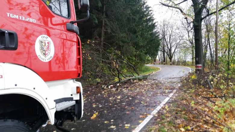 Połamane drzewa na drodze wojewódzkiej nr 390 na odcinku Złoty Stok - Lądek Zdrój