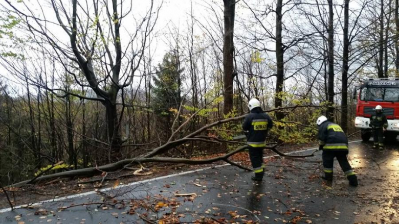 Połamane drzewa na drodze wojewódzkiej nr 390 na odcinku Złoty Stok - Lądek Zdrój
