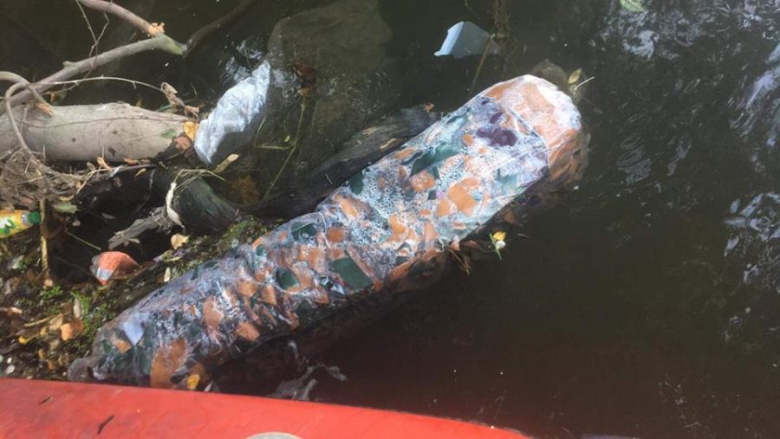 Tony odpadów z lokalnej fabryki płyną Nysą Kłodzką. Właściciele firmy Ski-Raft zawiesili organizację spływów kajakowych i pontonowych. Trwa sprzątanie rzeki