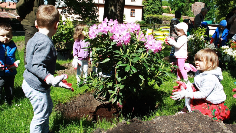 „Zielona Gmina”. Przedszkolaki sadziły krzewy w parku miejskim