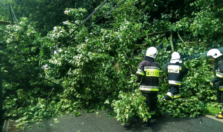 Powalone drzewo uszkodziło linię telefoniczną