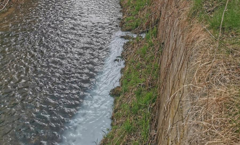 Wyciek białej substancji do rzeki Oławy w Ziębicach