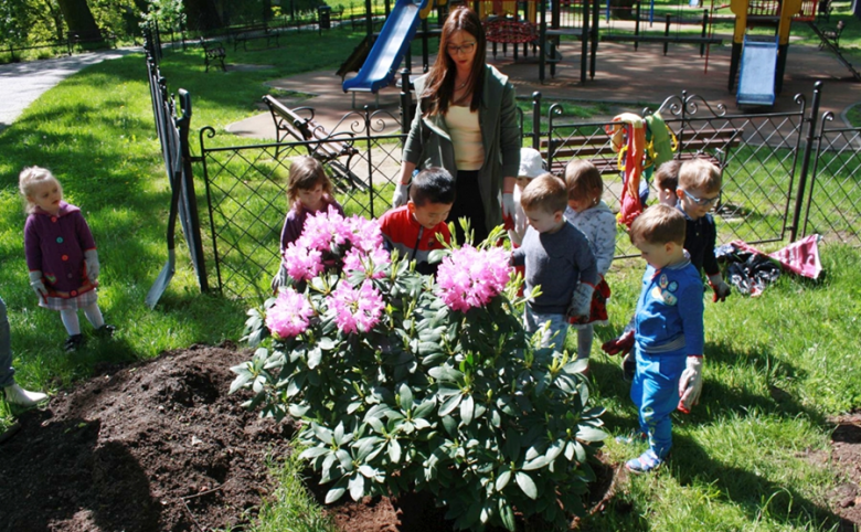 „Zielona Gmina”. Przedszkolaki sadziły krzewy w parku miejskim