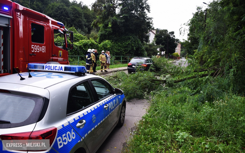 Konar drzewa spadł na przejeżdżający samochód osobowy