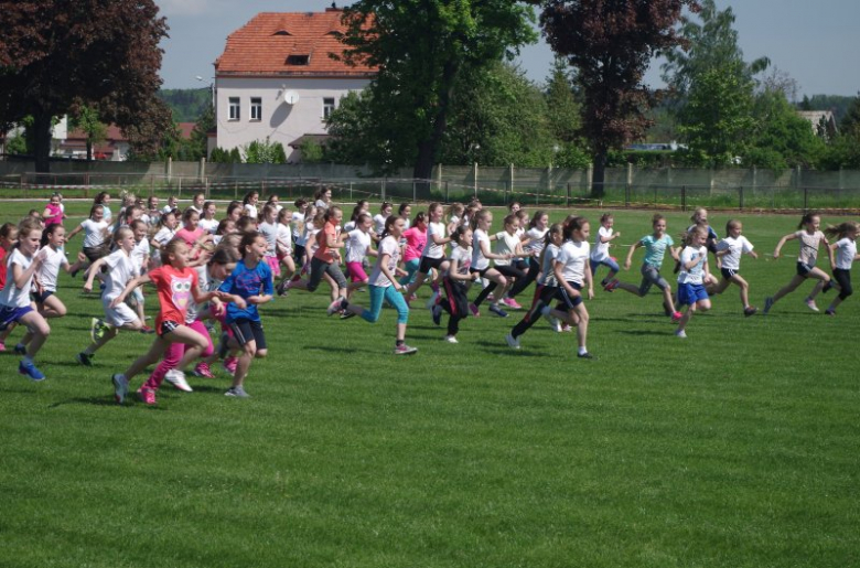 Akcja „Cała Polska Biega” w Ziębicach. Na starcie stanęło blisko 700 uczestników