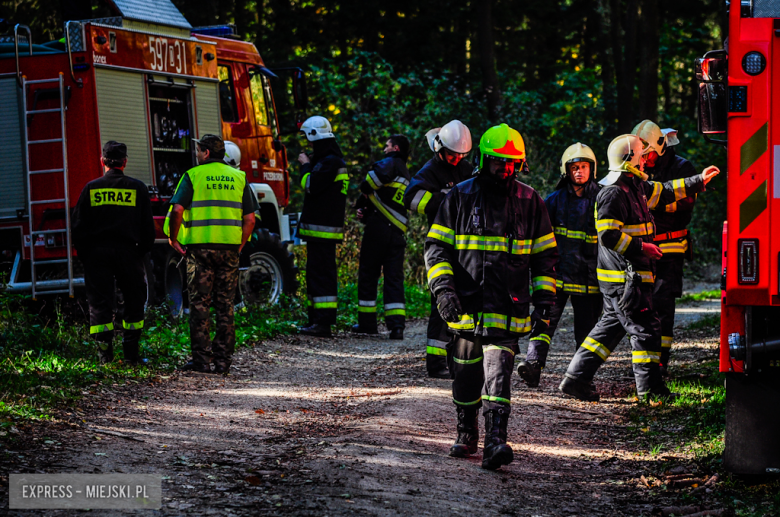 Międzynarodowe ćwiczenia strażaków w Mikołajowie