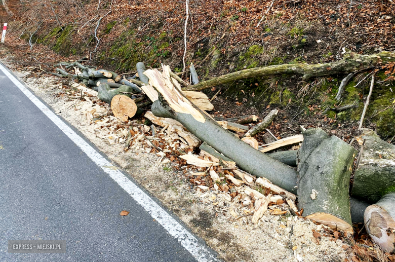 Drzewo spadło na samochód pomiędzy Złotym Stokiem a Lądkiem-Zdrój