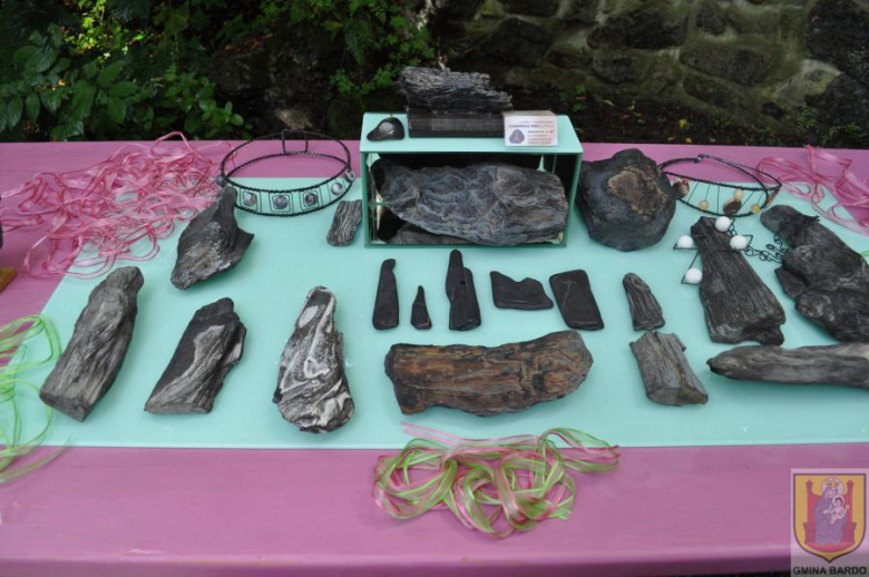 Wystawa skamieniałych dębów i minerałów Fundacji Serce Barda