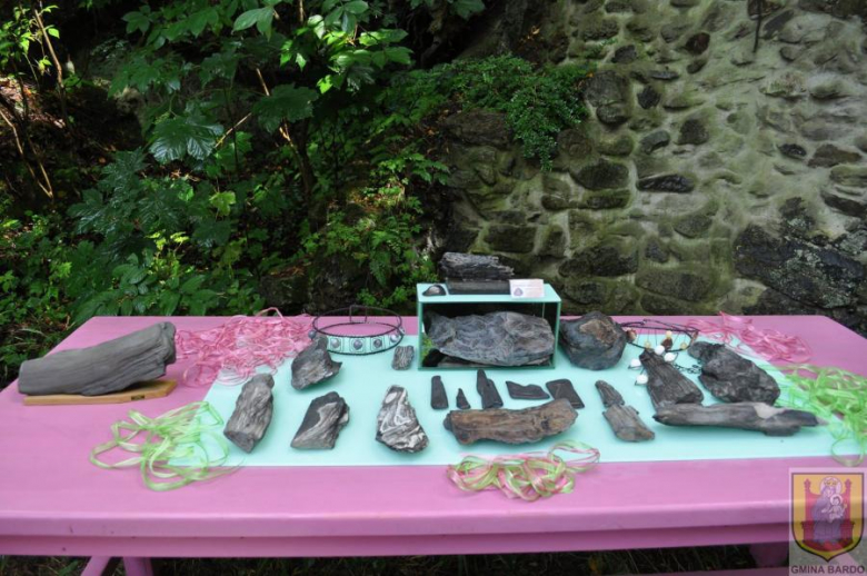 Wystawa skamieniałych dębów i minerałów Fundacji Serce Barda