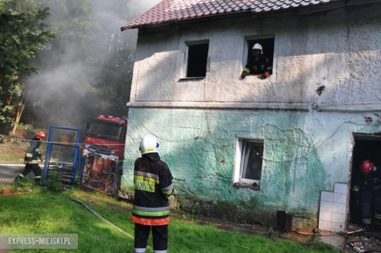 Pożar opuszczonego budynku w Opolnicy
