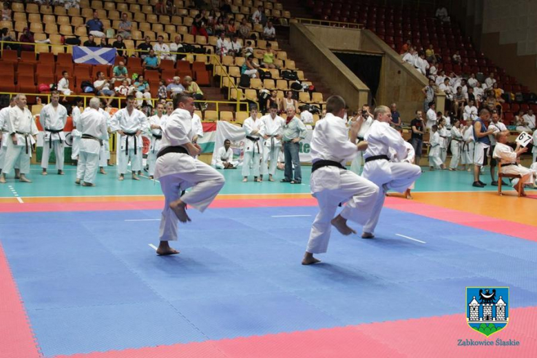 Mistrzostwa Świata w karate 