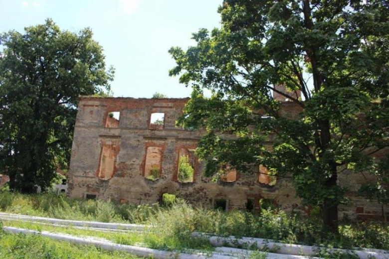 Ruiny pałacu w Rudnicy